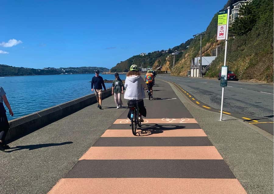Wellington Electric Bike Rental - Pencarrow Lighthouse requires a ferry and extra effort