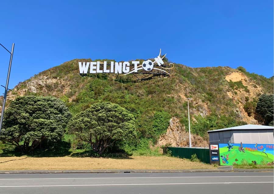 Wellington Electric Bike Rental - The Rimutaka Rail Trail is a full-day project