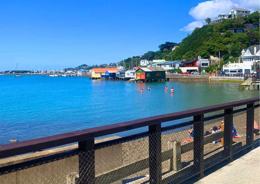 Wellington Electric Bike Rental - Weather, traffic, and comfort
