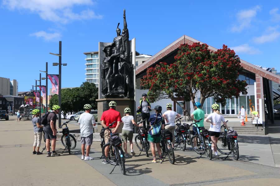 Wellington: Guided Sightseeing Tour by Electric Bike - Key points at a glance