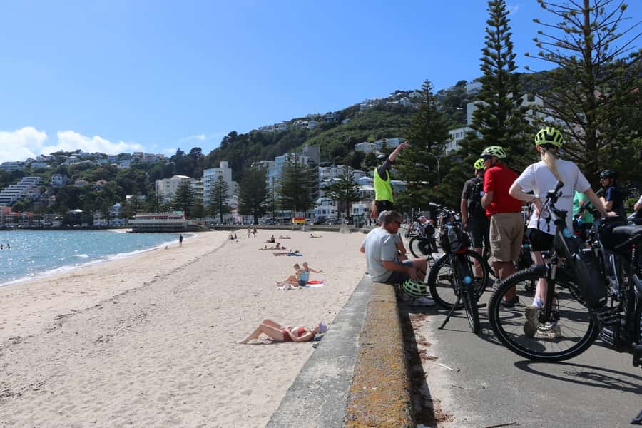 Wellington: Guided Sightseeing Tour by Electric Bike - Why an electric bike suits Wellington