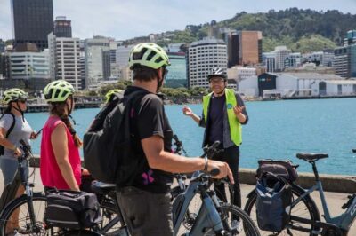 Guided Sightseeing Tour by Electric Bike