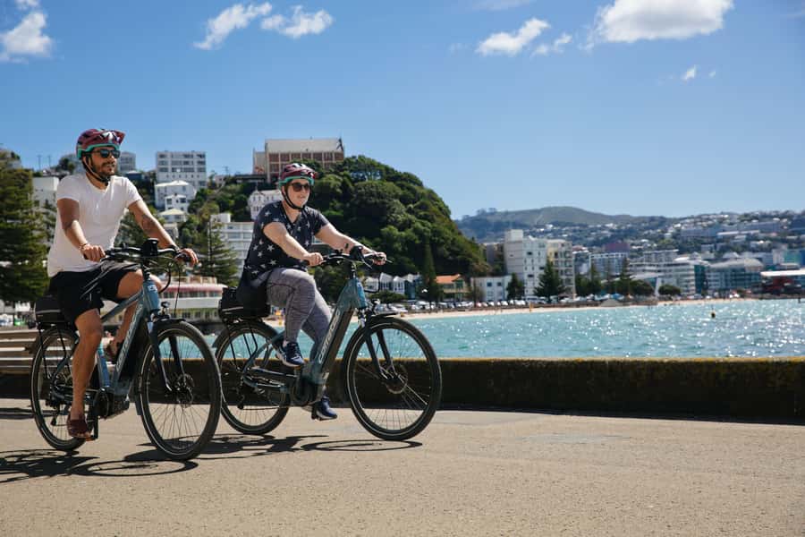 Wellington: Guided Sightseeing Tour by Electric Bike - Wellington Waterfront and Oriental Bay