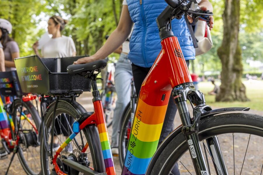 Zurich: E-Bike City Tour - The university district and Grossmünster